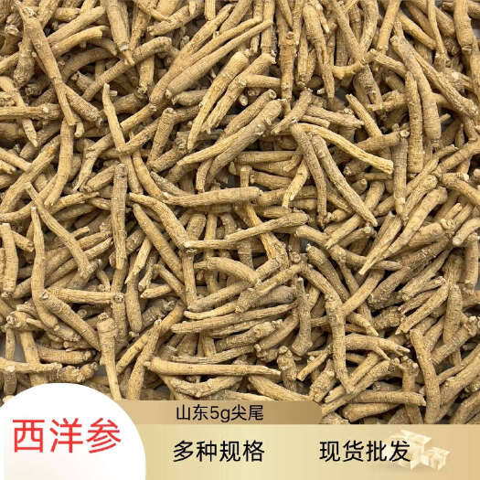 昆明现货批发山东西洋参尖尾5g整枝多种规格现货批发
