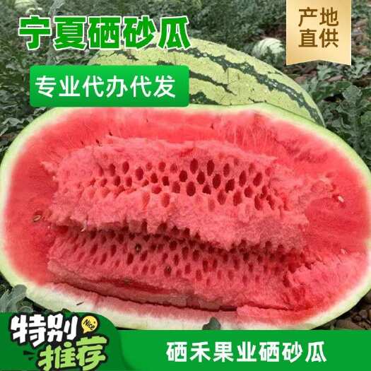 中卫大量供应宁夏硒砂瓜金城金花西瓜一手货源品控严格诚信代办