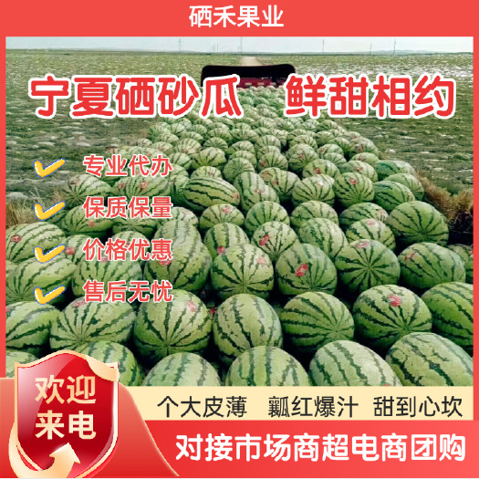 中卫精品宁夏硒砂瓜金城金花西瓜产地直供价格实惠对接市场商超电商