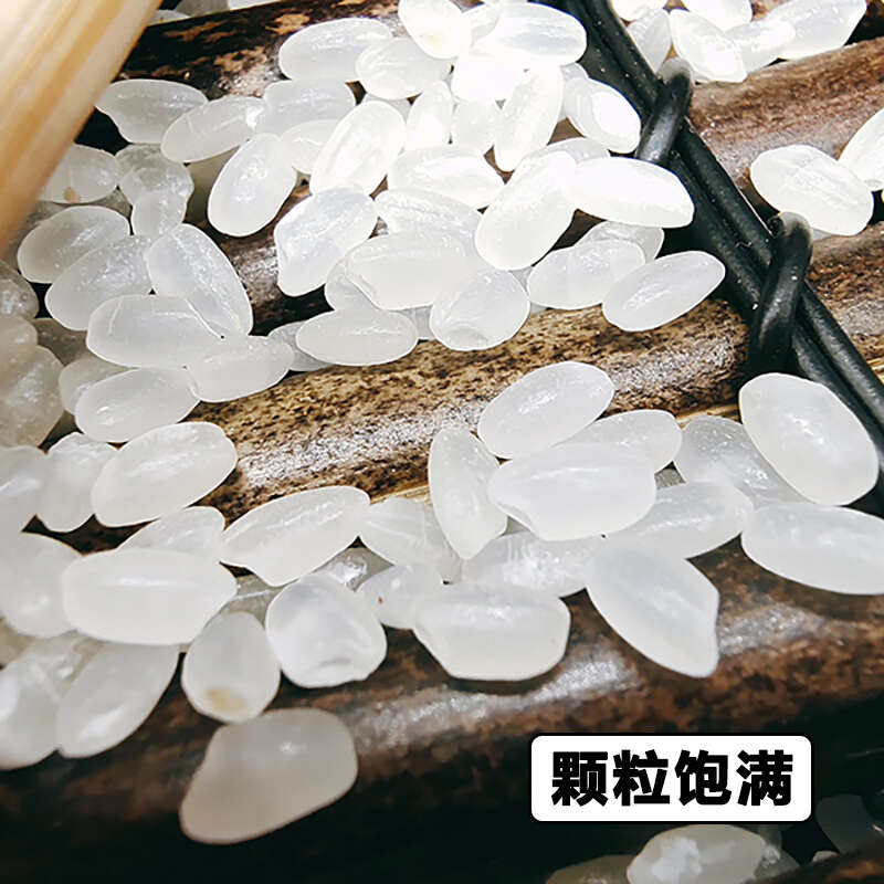 寒地东北大米北纬40°黑土地珍珠米颗粒饱满粳米10斤现磨新米