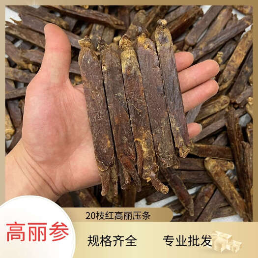 昆明现货批发高丽参20枝头芽条现货批发