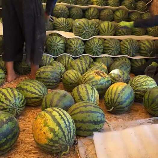 包甜包脆