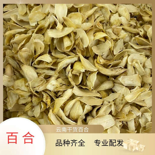 昆明云南干百合百合瓣现货批发量大价优多规格