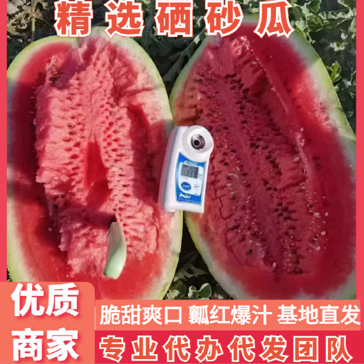 中卫优质西瓜宁夏石头瓜，硒砂瓜，石缝瓜，耐运输耐储存，基地直发