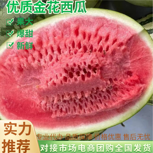 中宁县精选硒砂瓜宁夏正宗石头缝里的石头瓜产地直发电商10-15斤