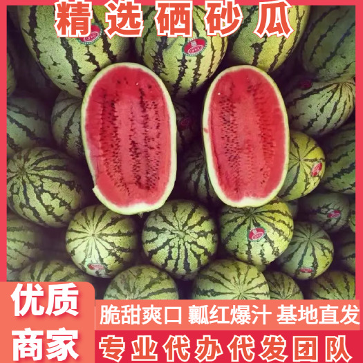 中卫精选西瓜宁夏硒砂瓜 宁夏回族自治区中卫市沙坡头区 1茬 纯甜