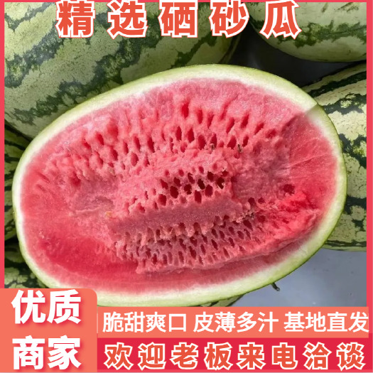 中卫宁夏硒砂瓜纯甜硒砂瓜大量上市产地直发一手货源品质保障全国发货