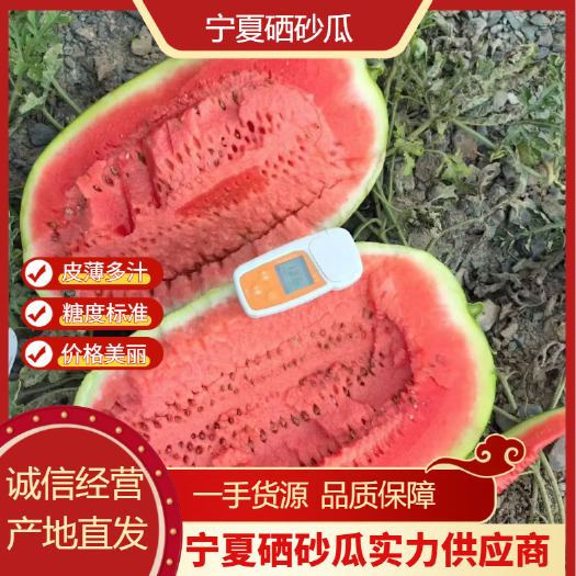 中卫精品宁夏硒砂瓜 石头瓜 货量充足