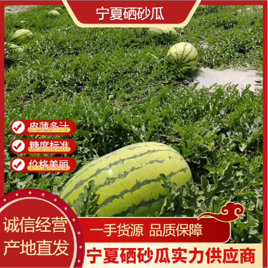 中卫宁夏硒砂瓜 石头瓜 大量上市