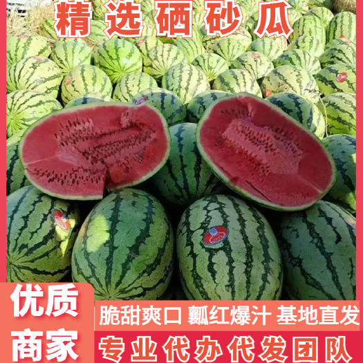中卫精选西瓜宁夏硒砂瓜产地代办一手货源价格实惠皮薄瓤红市场商超