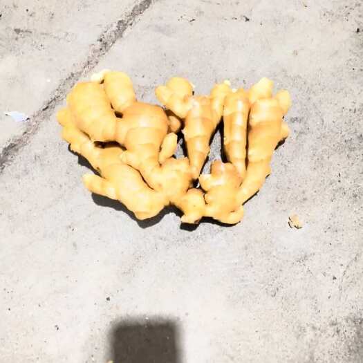 昌邑市山东昌邑大姜 水洗姜 风干姜 要啥有啥！