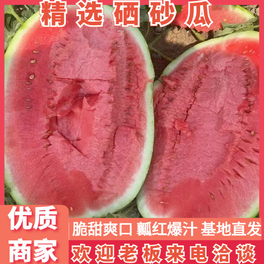 中卫精选西瓜宁夏硒砂瓜双红瓤即将大量上市产地直供保质保量专业种植