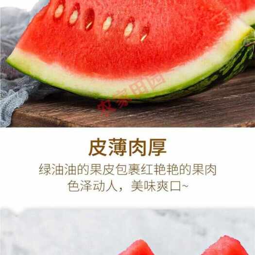 正宗超甜麒麟冰糖西瓜现摘薄皮无籽有籽美都批发新鲜西瓜水果