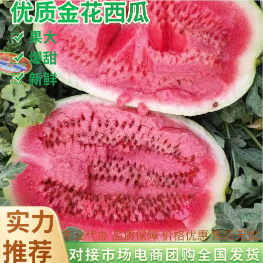 中宁县优质金花西瓜宁夏石头硒砂瓜皮薄脆甜红瓤产地直供全国发货10斤