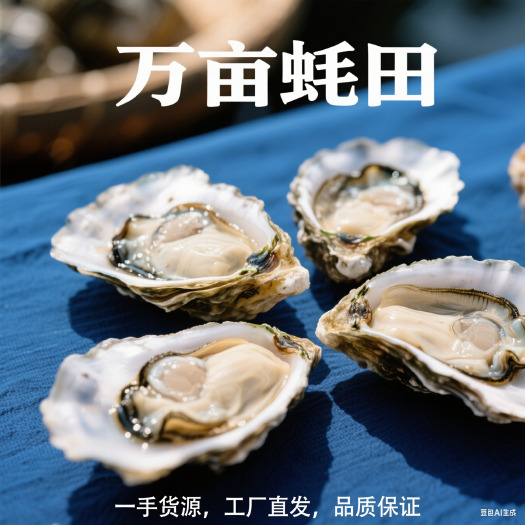 鲜活全壳生蚝，工厂直发。整车、物流专线