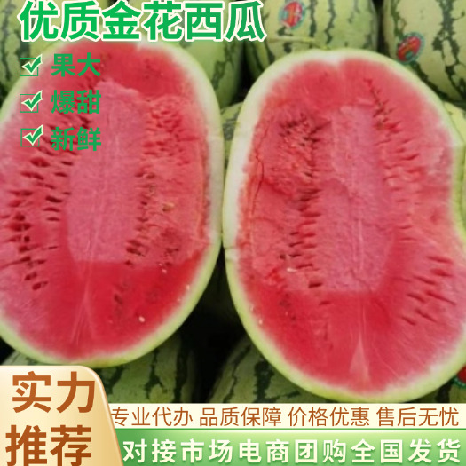 中宁县精选宁夏石头瓜金花1号金花5号西瓜产地直供规格齐全支持视频看