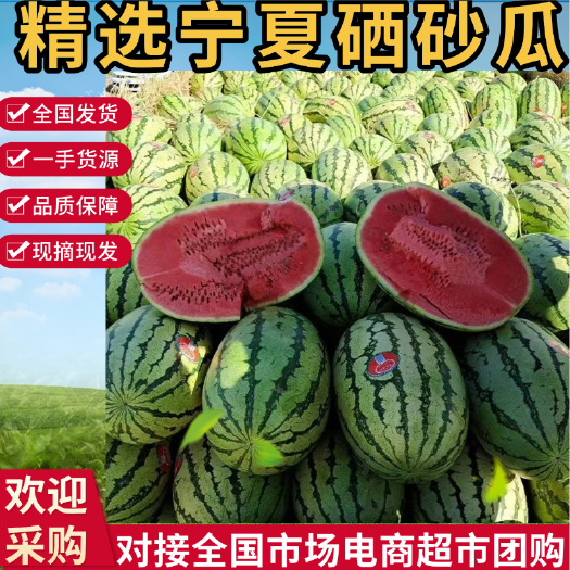 中宁县宁夏硒砂瓜石头瓜皮薄脆甜全国发货商超、社区团购及生鲜平台供应
