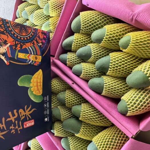 百色🌞【广西百色芒果】现摘现发！核薄肉厚，香甜爆汁！🌞