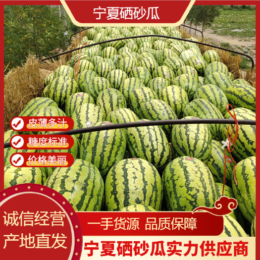 中卫宁夏精品硒砂瓜，石头瓜 ，大量上市，一手货源