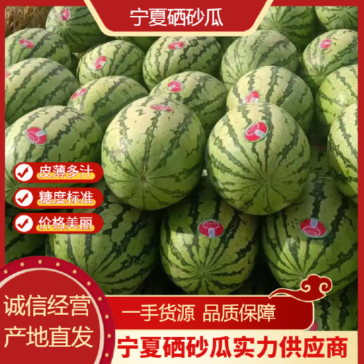 中宁县宁夏西瓜，硒砂瓜，石头瓜 ，大量上市