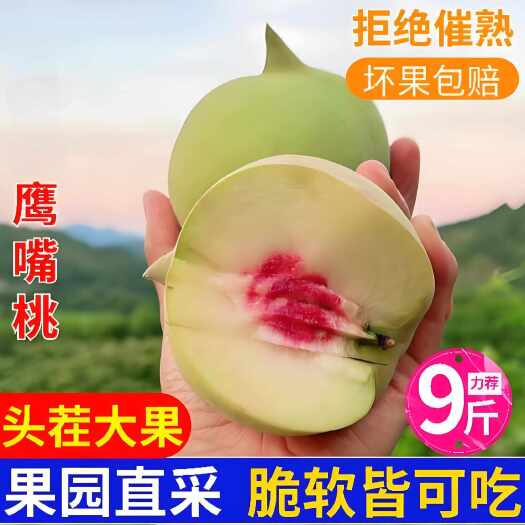 寻乌县现货10斤正宗鹰嘴桃桃子水蜜桃水果新鲜当季整箱包邮孕妇毛脆