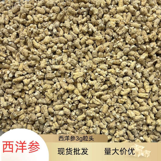 昆明东北西洋参3g粒头500g现货批发多种规格散装现货批发