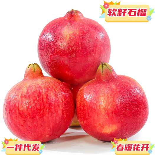 预售一件代发四川大凉山会理突尼斯软籽石榴当季时令新鲜现摘水果