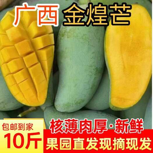 百色纯金煌芒果广西百色青皮芒果新鲜水果甜大青芒百色特产现摘包邮