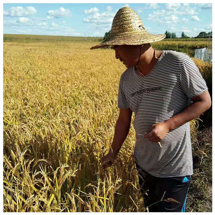 五常长粒香米10斤真空包装东北大米产地优质原粮现磨新米香甜糯