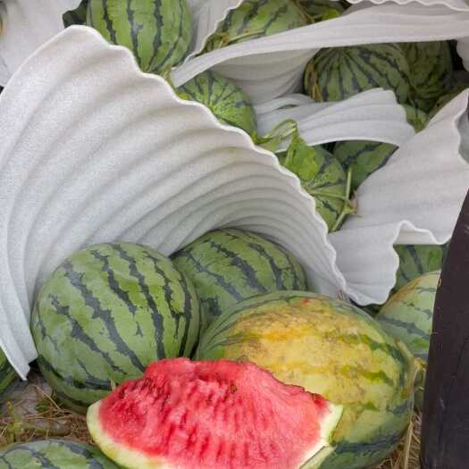 吉水县甜王西瓜
