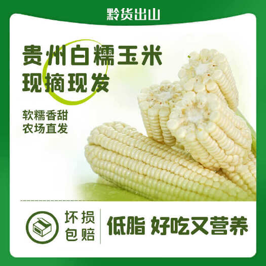 龙里县糯玉米 白玉米带壳 新鲜蔬菜整车供应玉米产地直供