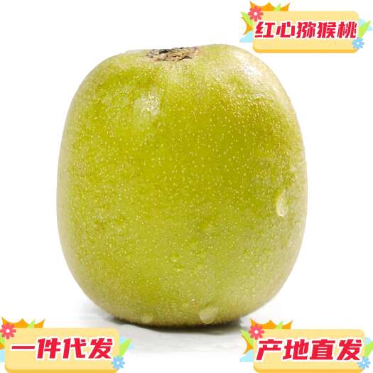 预售一件代发四川蒲江红阳红心猕猴桃奇异果现摘新鲜多规格猕猴桃