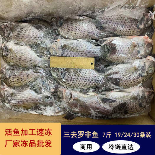新鲜三去罗非鱼 商用7斤装 炭烤糖醋红烧罗非鱼冻品材料批发