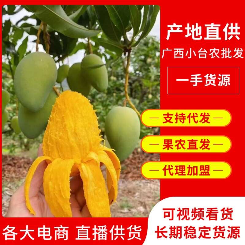 纯正广西百色小台芒超甜10斤装整箱当季新鲜果园树上熟大芒果