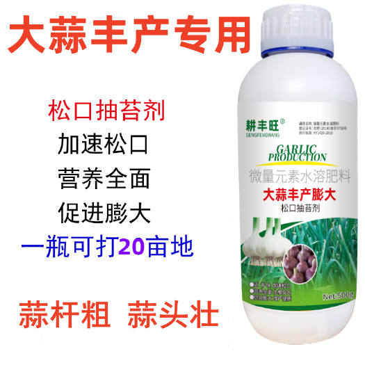 郑州大蒜抽苔膨大蒜高产提前抽苔促进松口大蒜增产膨大蒜头抗病增产剂