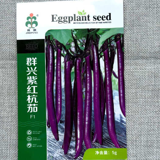 建瓯市群兴紫红杭茄种子 耐寒抗病 果皮紫红 果实细长条