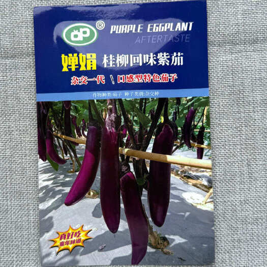 建瓯市婵娟桂柳回味紫茄种子 皮薄肉嫩 表皮紫色有光泽 肉白色