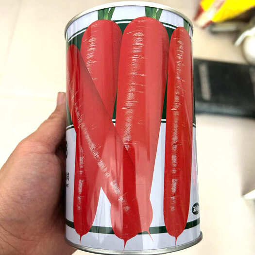 建瓯市红笋808胡萝卜种子 长势旺抗病 三红率高 表皮光滑收尾好