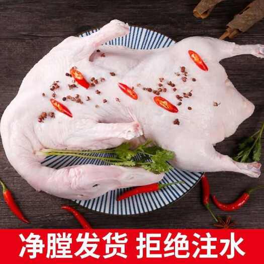 佛山农家散养土鸭鸭子现杀土鸭老鸭子鸭肉笨鸭鲜鸭冷冻基地批发