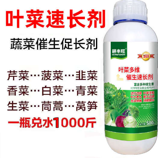 郑州叶菜速长剂芹菜菠菜香菜葱蒜白菜韭菜等早喷早绿茎秆粗壮抗病增产