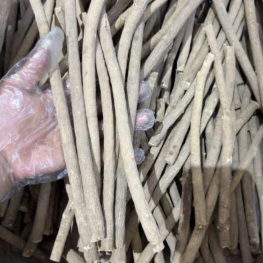 昆明甘肃黄芪整根精选货大量现货供应中产地直销