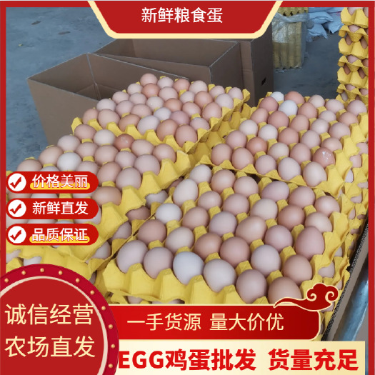 重庆市新鲜粮食鸡蛋产地直供量大价优