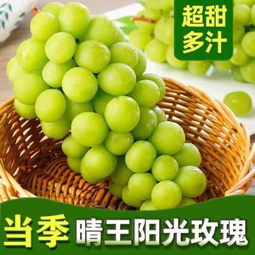 澧县湖南阳光玫瑰一手货源，欢迎各位老板前来订货！