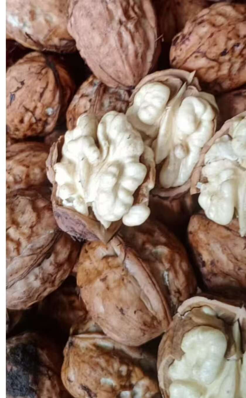 盐源县（核桃）去皮核桃产地大型工厂货源供货电商果