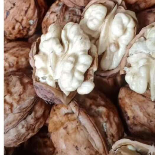 盐源县（核桃）去皮核桃产地大型工厂货源供货电商果