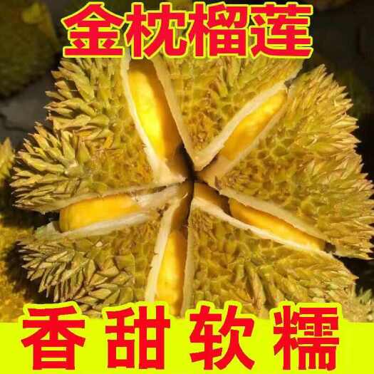 广州鲜果正宗枕头泰国金枕整个榴莲应季整箱带壳新鲜水果批发