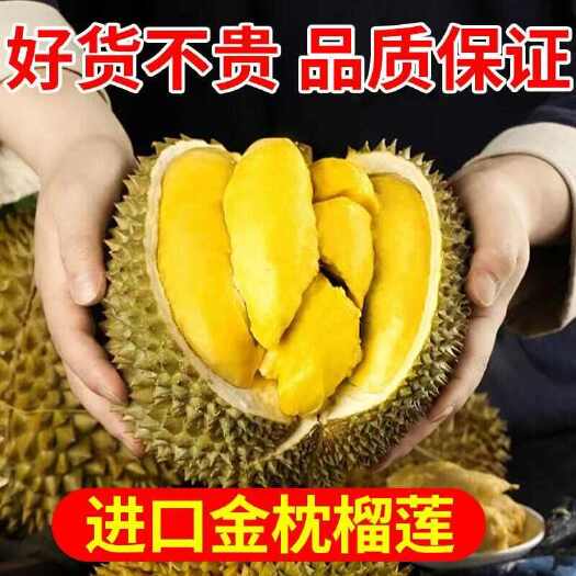 广州【现货】精选泰国金枕榴莲新鲜带壳正宗带壳一整个坏果包赔