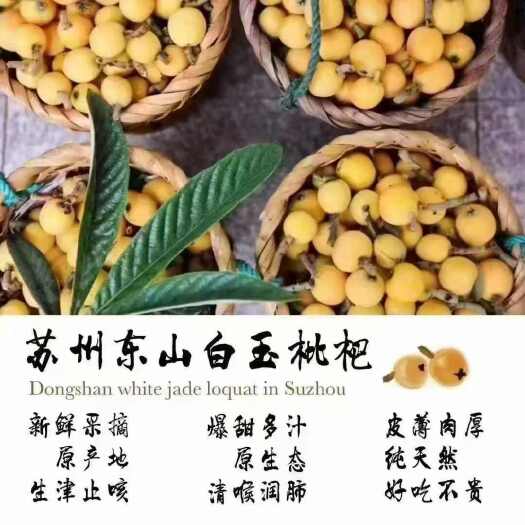 苏州苏州东山白玉白沙枇杷苏州配送上门