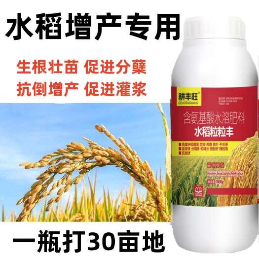 郑州水稻专用增产素叶面肥稻黄金壮秧剂促分蘖灌浆微量元素水稻粒粒丰
