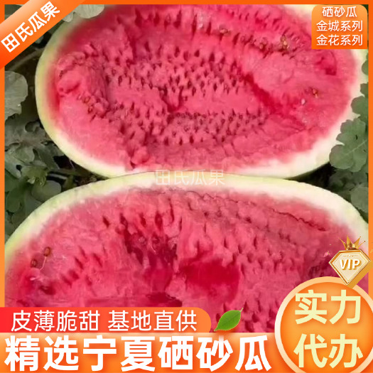 中宁县精选硒砂瓜石头瓜宁夏中卫万亩基地全国发货电商市场团购视频看货